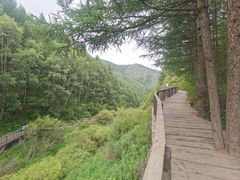 -苏木山森林公园