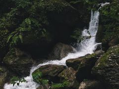 -青城山