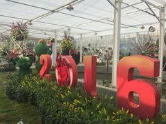 -上海鲜花港
