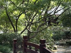 -中国茶叶博物馆(双峰馆区)