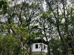 -上海佘山国家森林公园天马山园