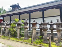 -奈良公园