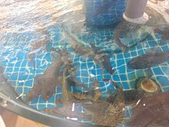 -抹直口特色菜馆(一店)