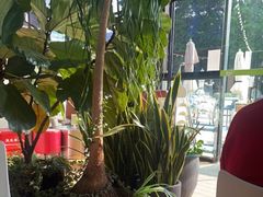 -813芭依珊 BAESAn(皇冠十畝地店)