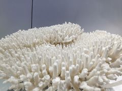 -福州罗源湾海洋世界旅游区