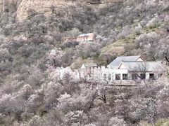 -中华福寿山