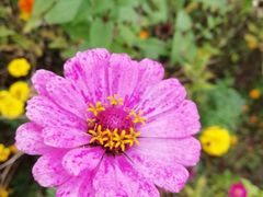 -白鹭湾湿地公园