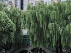 -团结湖公园