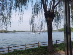 -白洋淀风景区