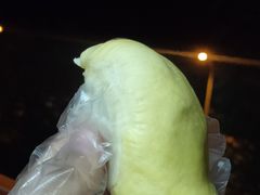 -果叔叁拾加(锦绣生态园店)