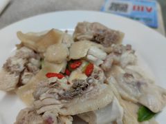 -墨脱石锅椰子鸡•香草鸭•东山羊(大东海店)