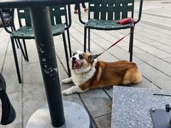 -星巴克臻选(威海威高广场店)