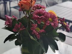 -柳莺湖上·湖景餐厅·江南菜(西湖店)