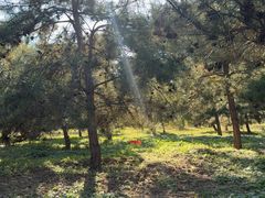 -无名缘米粉(领展购物广场京通店)