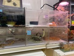 -宝鸡东道花鸟鱼虫市场(吉利花园商场店)