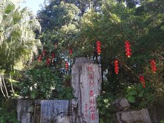 -广州市流溪河国家森林公园
