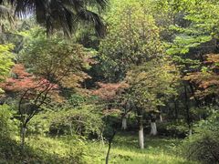 -重庆平顶山公园