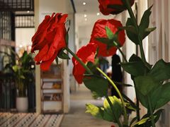 -22ºN BISTRO西餐&酒馆(石奥商业街店)