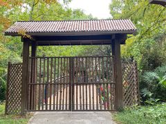 -上海滨江森林公园