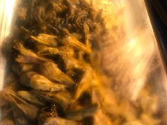 -老号尤兔头(幸福店)