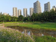 -重庆彩云湖湿地公园