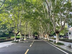 -四川农业大学(雅安校区)