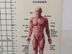-张钰强中医正骨推拿连锁(华发商都店)