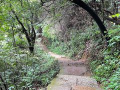 -杭州半山国家森林公园