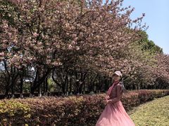 -南京奥林匹克体育中心