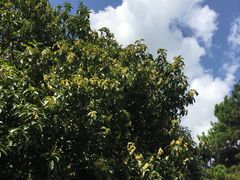 -浙江大学(玉泉校区)