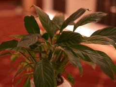 -珠源印象·影院足道·按摩SPA