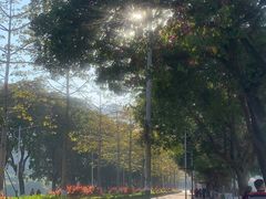 -风云岭森林公园