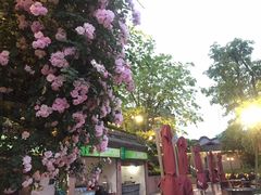 -楠柏弯休闲山庄(梨花溪店)