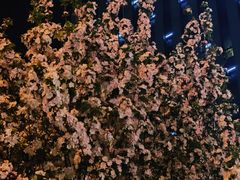 -天津水游城丽筠酒店