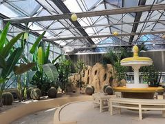 -南宫五洲植物乐园