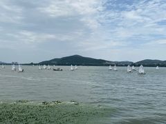 -无锡蠡湖国家湿地公园-蠡园