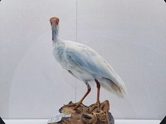 -中国湿地博物馆