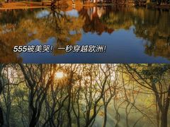 -外滩8号 whisky bar(金延大厦店)