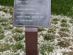 -海棠花溪(元大都城垣遗址公园)