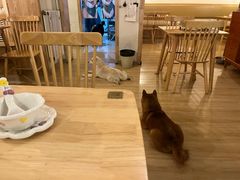 -柴の食堂·日式家庭料理·熊之肆(大学路店)