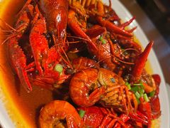 -京B·东篱精酿啤酒音乐餐厅