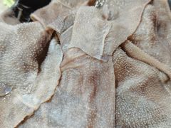 -铜元老码头鳝鱼火锅