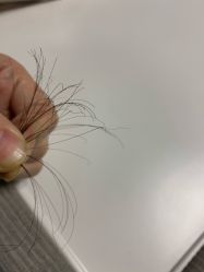 -AYO SALON