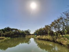 -福田红树林生态公园