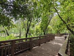 -广东花都湖国家湿地公园