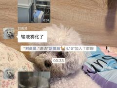 -中环花鸟鱼虫市场