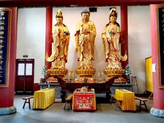 -上海东林寺(金山区)