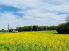 -良渚古城遗址公园