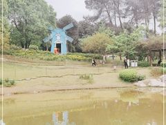 -铁山坪森林公园