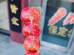 -糖葫芦王保定名吃(古莲花池店)